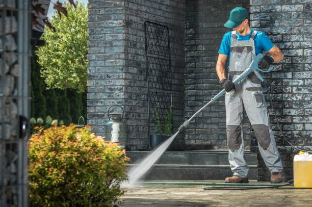 Animal Enclosure Cleaning in Cortland West, NY