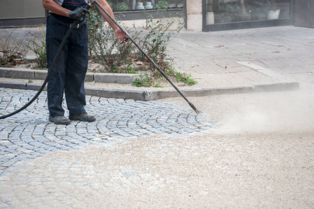 Best Restaurant Pressure Washing  in Cortland West, NY