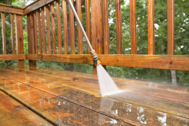 Best Rust Removal  in Cortland West, NY