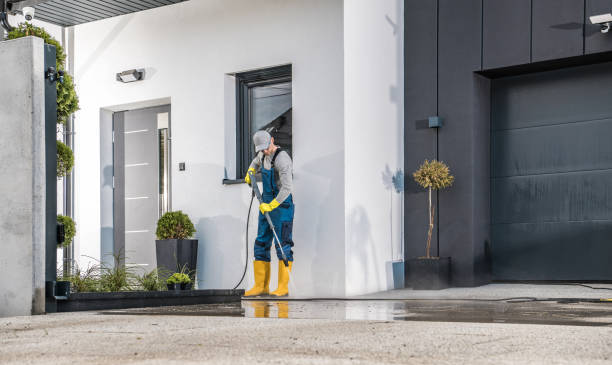 Best Dumpster Area Cleaning  in Cortland West, NY