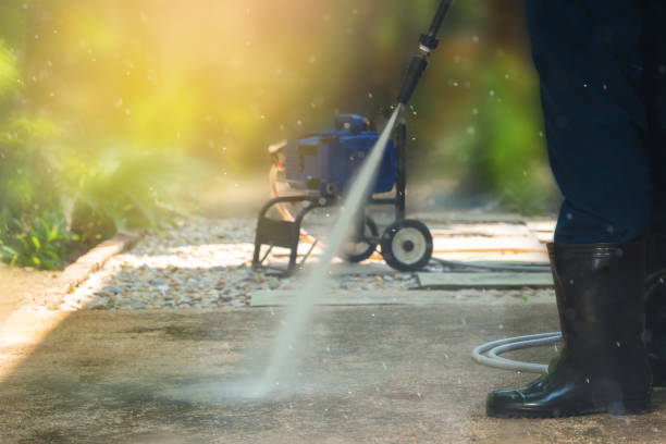 Best Roof Washing  in Cortland West, NY